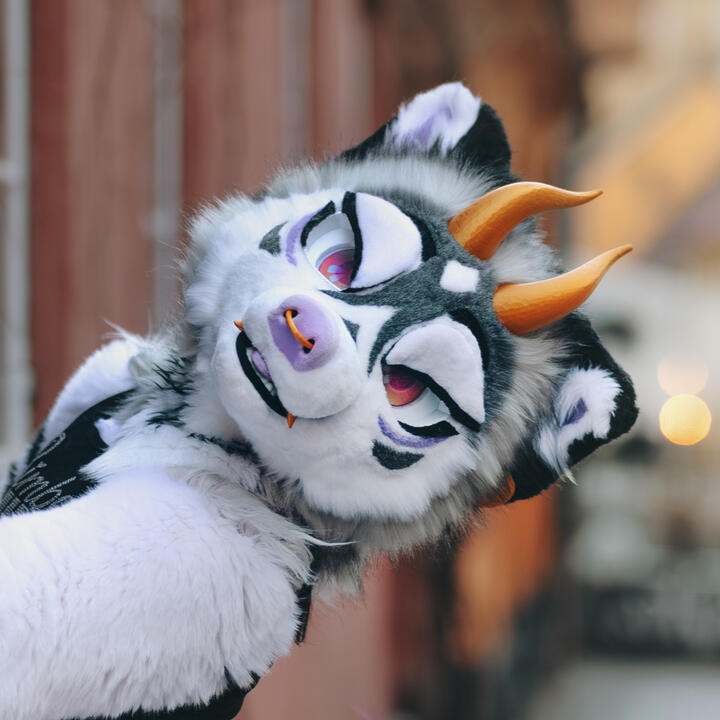 picture by fennecparty picture by fennecparty