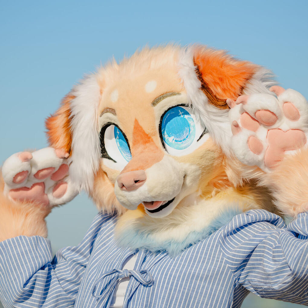 picture by skygejager